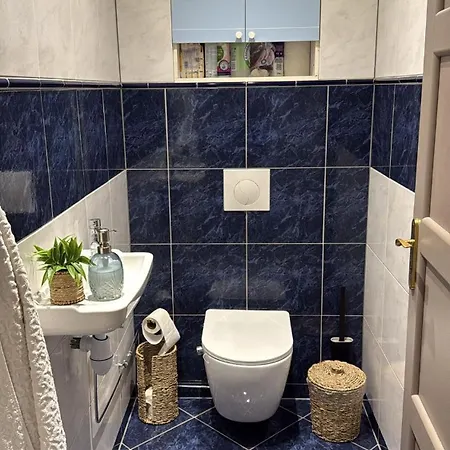 Decouvrez La Route Des Vins Et Les Marches De Noel Daire