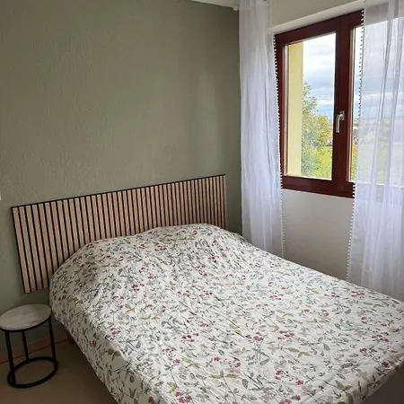 Decouvrez La Route Des Vins Et Les Marches De Noel Daire *