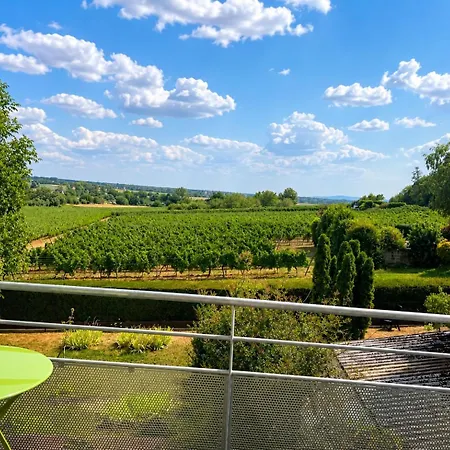 Appartement Découvrez La Route Des Vins Et Les Marchés De Noël *