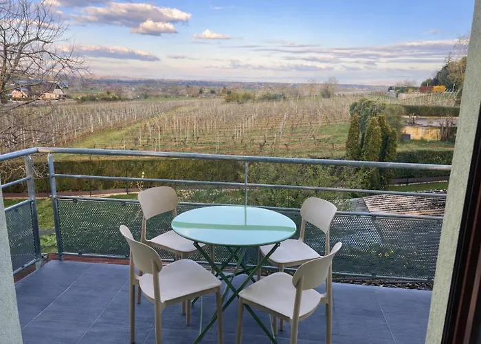 Decouvrez La Route Des Vins Et Les Marches De Noel Appartement Beblenheim